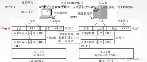 計(jì)算機(jī)網(wǎng)絡(luò)復(fù)習(xí)06 應(yīng)用層